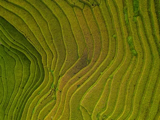 Foto auf Acrylglas Mu Cang Chai Aerial top view of fresh paddy rice terraces, green agricultural fields in countryside or rural area of Mu Cang Chai, mountain hills valley in Asia, Vietnam. Nature landscape background.