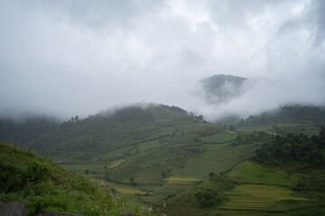 Aerial top view of fresh paddy rice terraces, green agricultural fields in countryside or rural area of Mu Cang Chai, mountain hills valley in Asia, Vietnam. Nature landscape background.