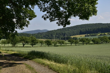 Fototapeta na wymiar Landschaft bei Hameln