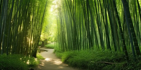 serene bamboo forest, with tall bamboo stalks creating a dense and peaceful atmosphere  Generative AI Digital Illustration Part#110623