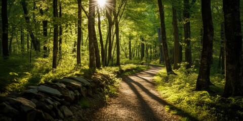 Sunlit Pathway - Follow a winding pathway through a sunlit forest  Generative AI Digital Illustration Part#110623