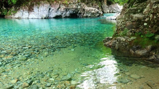 river in the forest