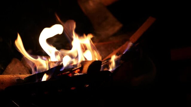 まったりスローな焚火動画