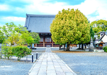 Fototapeta premium 京都、妙覚寺の境内