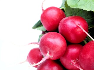 Close up of Red radishes isolated on white 