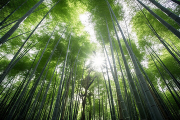 Sagano bamboo forest in Japan created using AI generative technology  