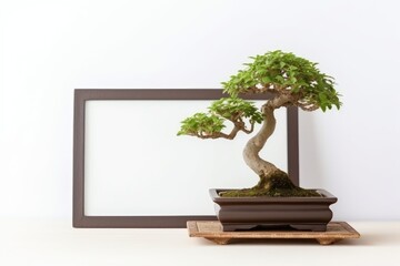 Bonsai tree, succulent cactus, and frame mockup on white wall. Closeup of home d�cor. Generative AI