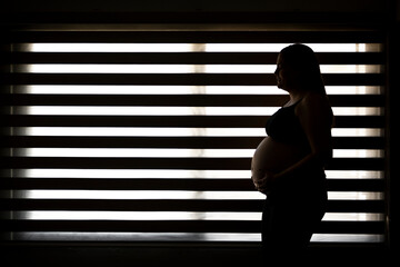 lonely pregnant woman standing at the window against the light. lonely pregnancy concept