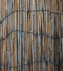 Woven Bamboo Wall