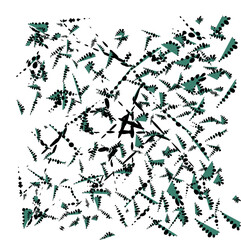 pieces of plants leaves