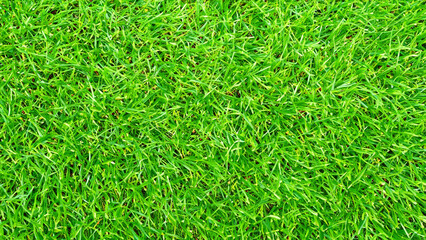 Green Grass background. - generative ai