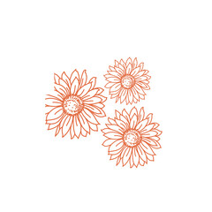 Sunflower for background