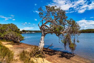 Fototapeta na wymiar Houseboats on the Blackwood River. An iconic destination in Australia's South West, Augusta region on the Hardy Inlet.