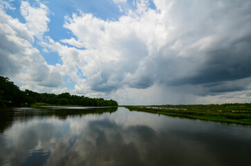 Charleston, South Carolina in May - Reflections of Clouds and Plants in Still Water