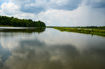 Charleston, South Carolina in May - Reflections of Clouds and Plants in Still Water
