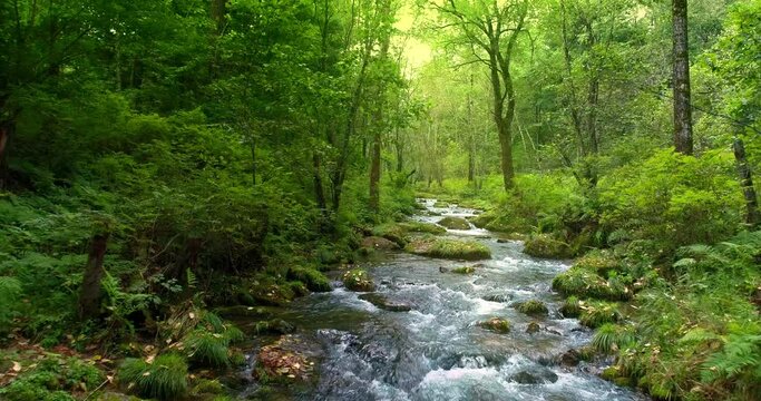 Waterfall with forest stream and green moss.
