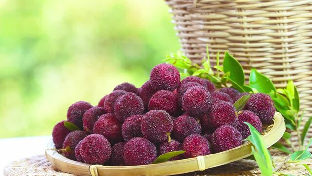 Arbutus berries Fruit or Red Yangmei in the basket under sunlight on blurred nature background.Red Bayberry, Yumberry, yamamomo, Waxberry in basket.