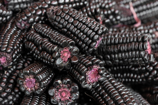 Purple Corn (Zea mays indurata) cobs pattern on local market, Cusco, Peru.
