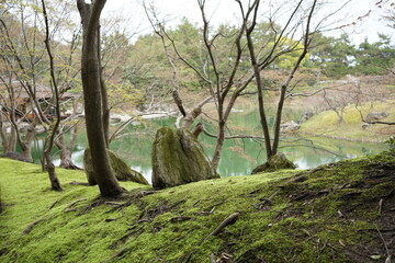 Fototapeta na wymiar Traditional Pond and Japanese Garden at Ritsurin Garden Park in Takamatsu, Kagawa, Japan - 日本 香川 高松 栗林公園 日本庭園 池