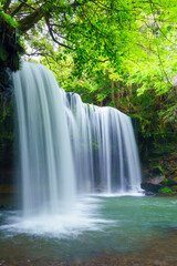 Obraz premium 【熊本県】阿蘇 小国町の鍋ヶ滝