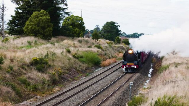 Steam Train