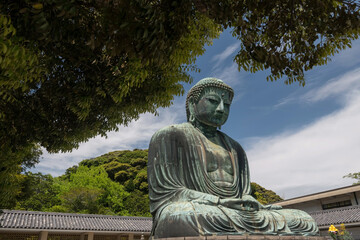 Obraz premium Kamakura Daibutsu great Buddha with green leaf in sunny day