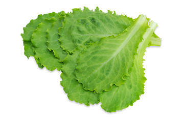 Fresh lettuce leaves isolated on transparent background.