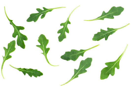 Fresh arugula leaves isolated on transparent background.