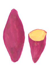 サツマイモ　水彩