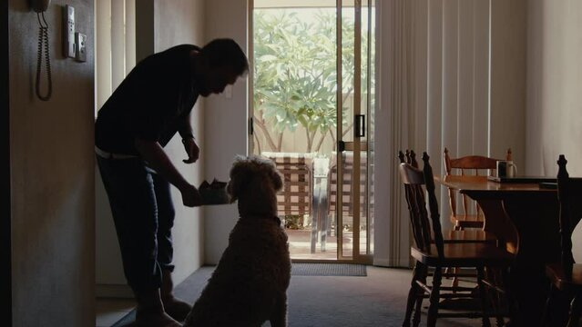 A young man wearing uggs feeds his golden retriever dog at home. The dog's tail wags with excitement, and it bounces around in anticipation, eagerly awaiting a command to start eating.