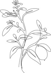 one line art. one continuous line. a tree branch with fruits hanging on