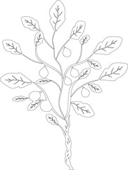 one line art. one continuous line. a tree branch with fruits hanging on
