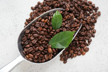 Scoop with coffee beans on light background