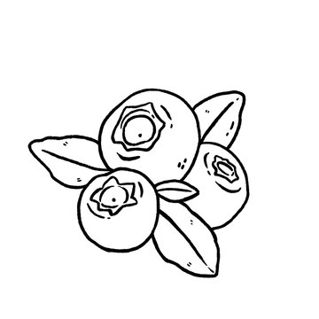 recommend clip art: blueberry line