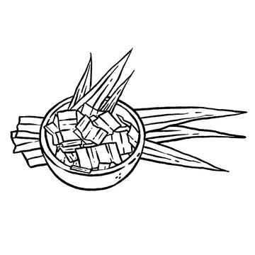 bowl of aloe vera with leaves clip art preview