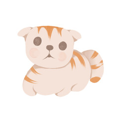 Babycat 