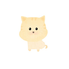 little cat