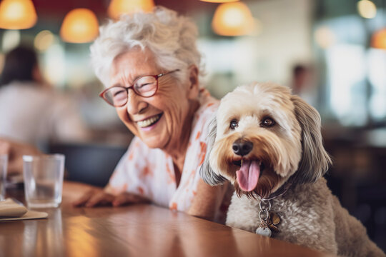 Illustration of senior retired woman with dog in restaurant