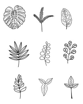 Hand drawn leaf line art collection.Vector illustration.