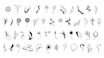 Big Abstract Set Doodle Elements Hand Drawn Collection Botanic Herbal Flora Leaf Branch Vine Flower Plant Elements F Vector Desgin Style