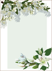 white flowers in frame on light background