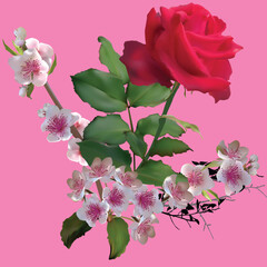 rose and small flowers on pink background