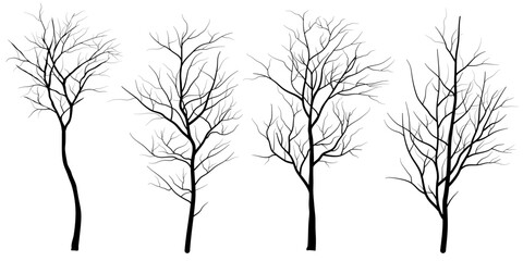 set of deciduous tree silhouette