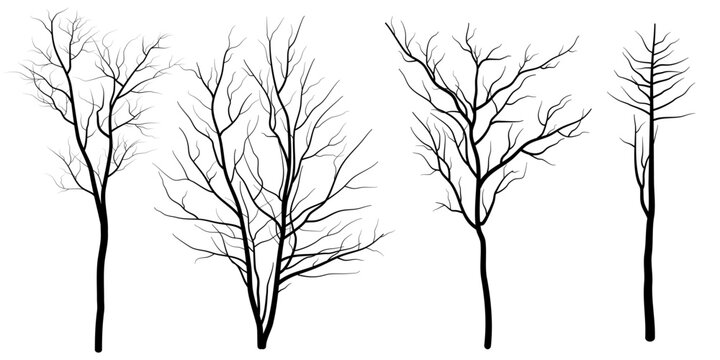 set of deciduous tree silhouette