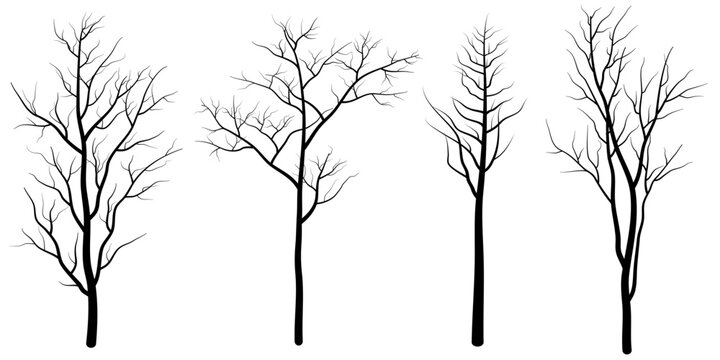 set of deciduous tree silhouette