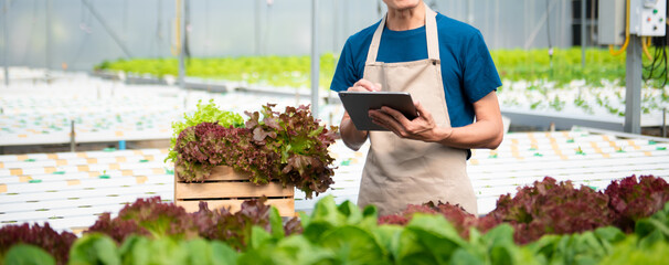 Smart farmer using application by tablet concepts modern vegetables and gardening lettuce at greenhouse. and visual