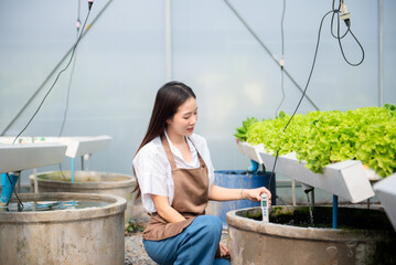 Researcher in uniform are checking with ph strips in hydroponic farm and pH level scale graphic,...