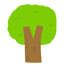 tree isolated