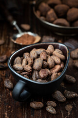 Composition with cocoa powder, beans and chocolate