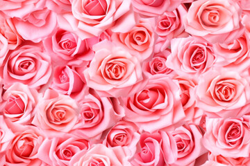 Background of bright pink roses. pattern. AI generated